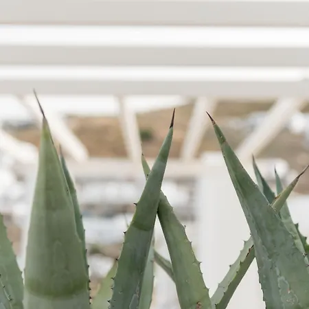 Ξενοδοχείο με διαμερίσματα Cova Mykonos