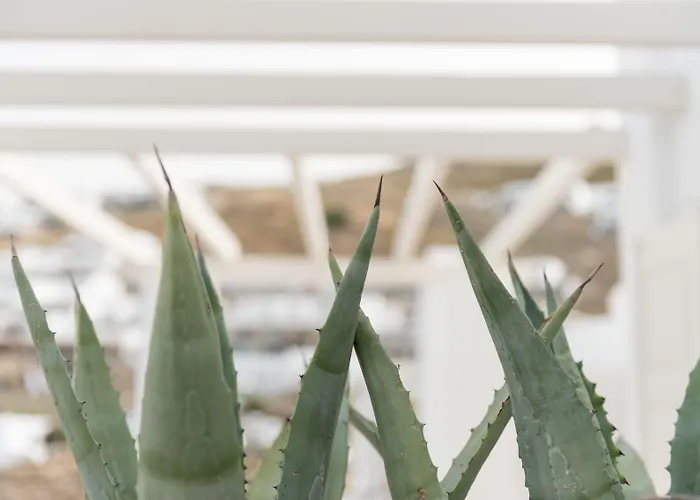 Lägenhetshotell Cova Mykonos