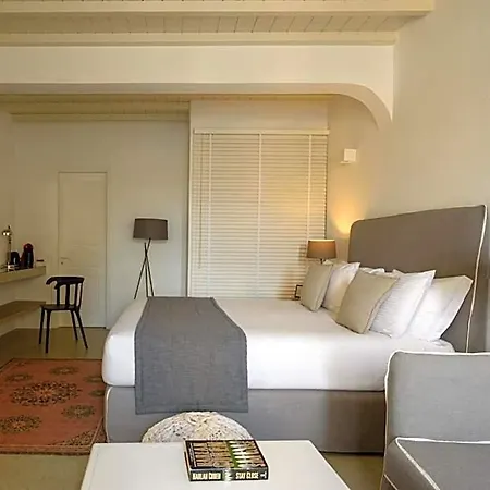 Cova Mykonos Aparthotel 4*